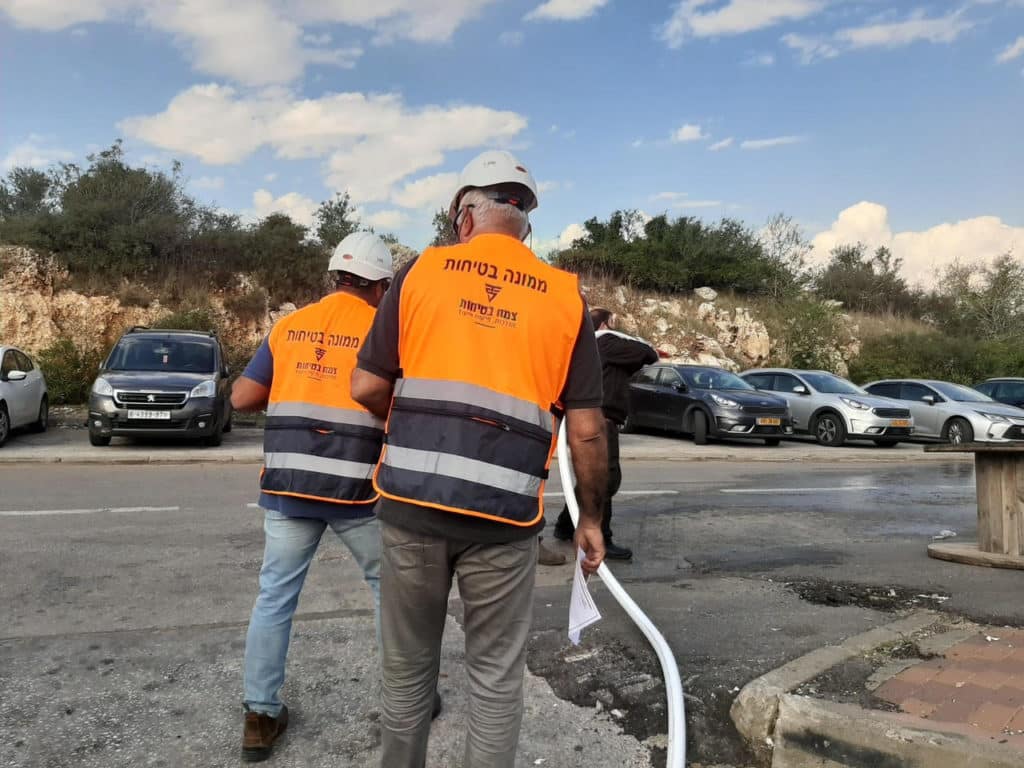 צמח בטיחות